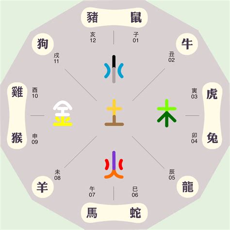 寅五行屬性|五行